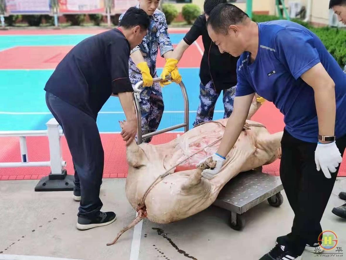 微信图片_202000.jpg